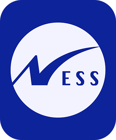 Ness-Digital-Engineering